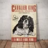 S00057c76870144a49efe931502b3b6629 - Cavalier King Charles Spaniel Shop