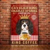 S5ab1f97472b94e8386d667621ca0ffe16 - Cavalier King Charles Spaniel Shop