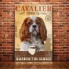 S8941682080214bc2845af2c5bf043ccap - Cavalier King Charles Spaniel Shop