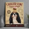 Sd3e7f43c073e46758ef66775a847f436m - Cavalier King Charles Spaniel Shop