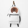 urbackpack frontwide portrait750x1000 60 - Cavalier King Charles Spaniel Shop